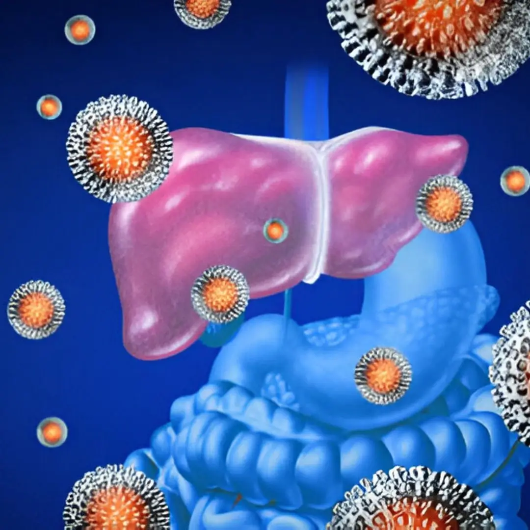 Autoimmune Hepatitis Therapy