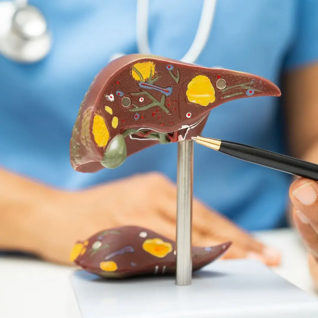 Hepatic Encephalopathy Treatment